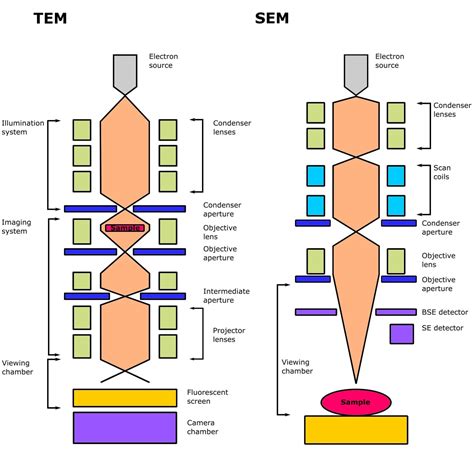 what is cryo electron microscopy.